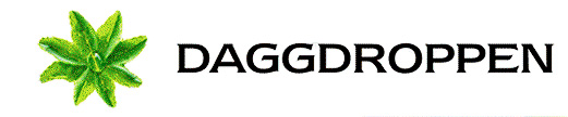 Daggdroppen Spa logotyp
